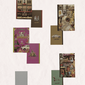 Carnet de notes Bollywood – carnet original illustré