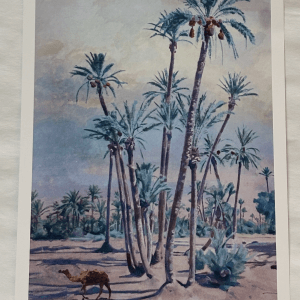 Affiche Oasis du Maroc – Poster Illustration Vintage A4