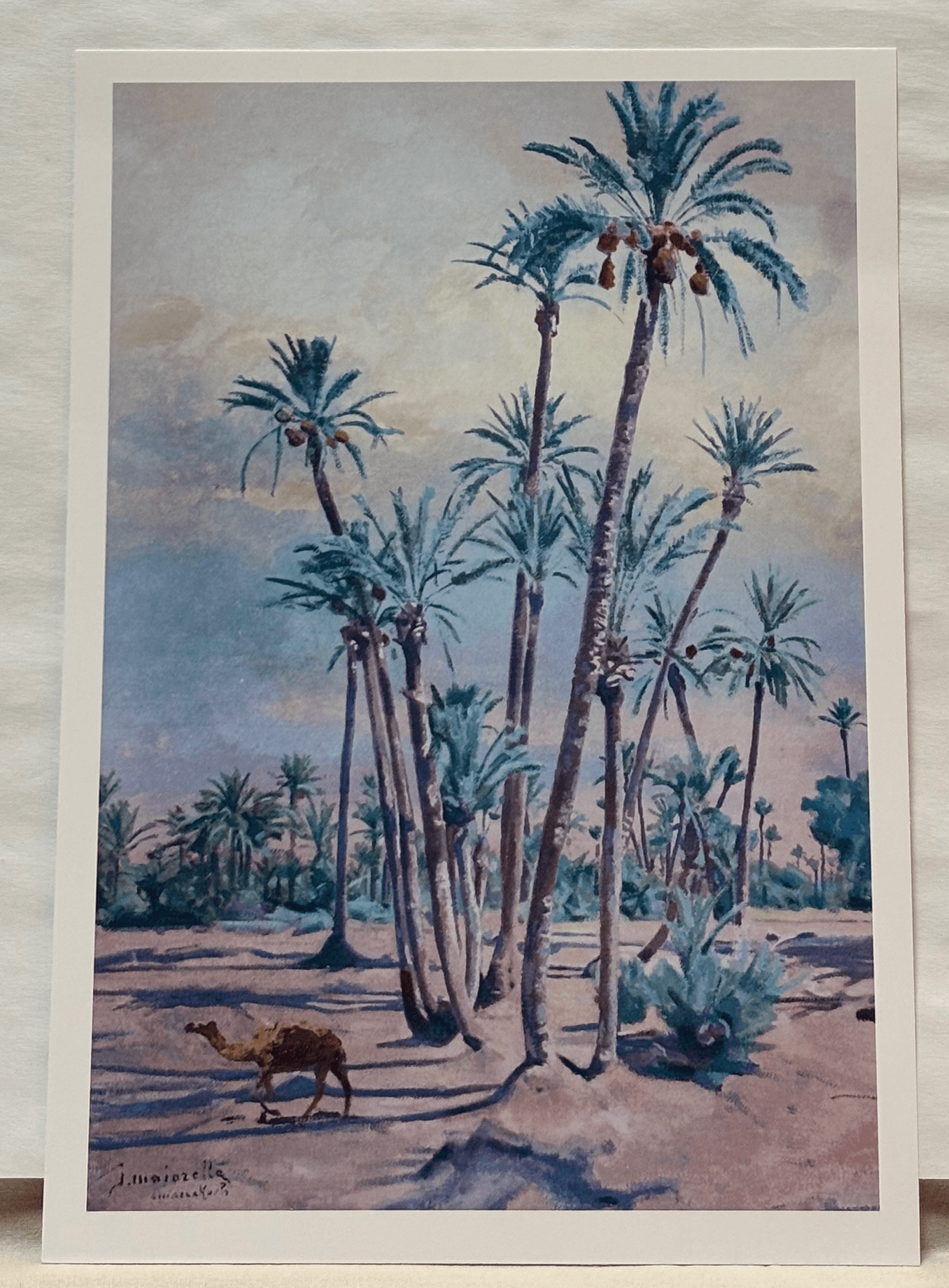 Affiche Oasis du Maroc – Poster Illustration Vintage A4